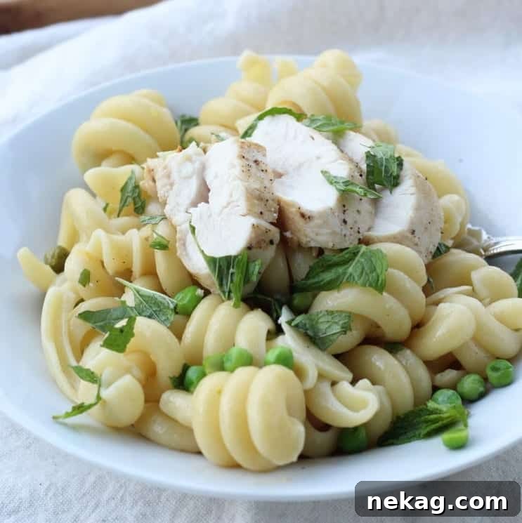 featured 1491