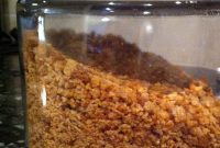 Make Your Own Bread Crumbs