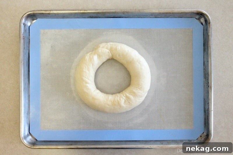 New Year Celebration Bake 6 The proofed New Year’s Party Loaf, now doubled in size, ready for baking after its second rise.