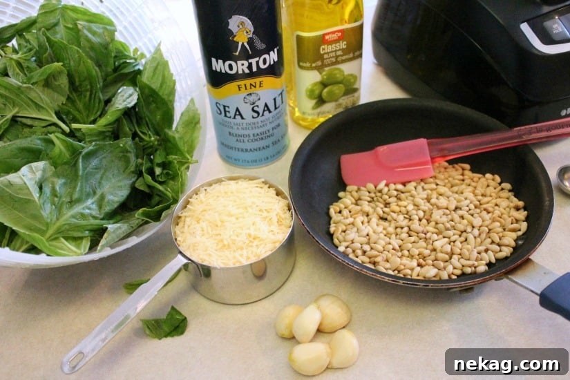 Fresh basil, toasted pine nuts, shredded parmesan cheese, fresh garlic cloves, pure olive oil, and sea salt come together to create this Classic Pesto that can be used on pasta, sandwiches, or in soups!