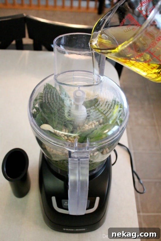 Fresh basil, toasted pine nuts, shredded parmesan cheese, fresh garlic cloves, pure olive oil, and sea salt come together to create this Classic Pesto that can be used on pasta, sandwiches, or in soups!