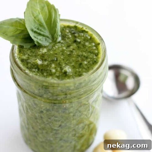 Fresh basil, toasted pine nuts, shredded parmesan cheese, fresh garlic cloves, pure olive oil, and sea salt come together to create this Classic Pesto that can be used on pasta, sandwiches, or in soups!