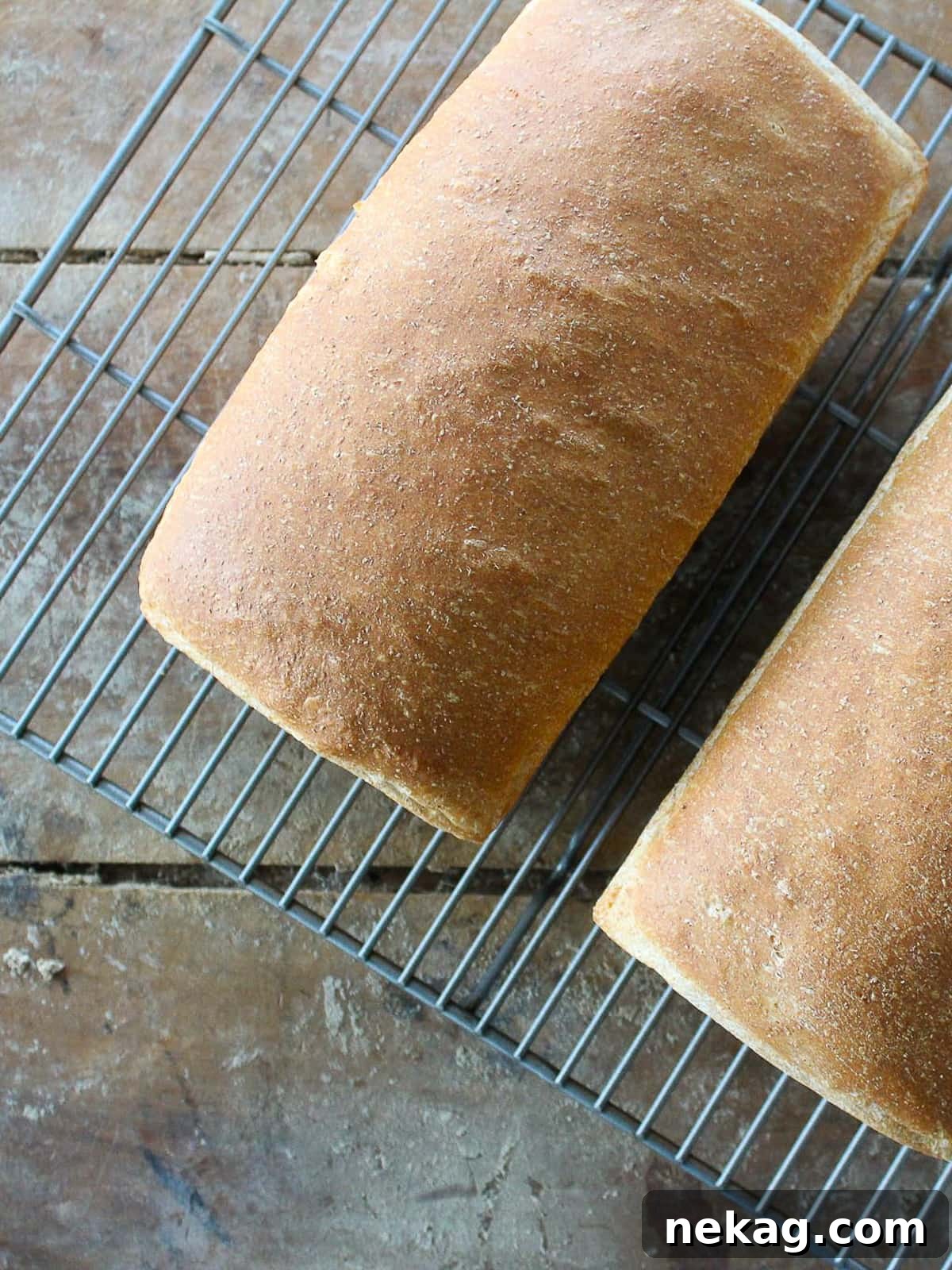 Hearty Whole Wheat Sandwich Loaf 4 Two freshly baked loaves of whole wheat sandwich bread cooling on a metal wire rack, showcasing their perfectly golden and evenly baked crusts.
