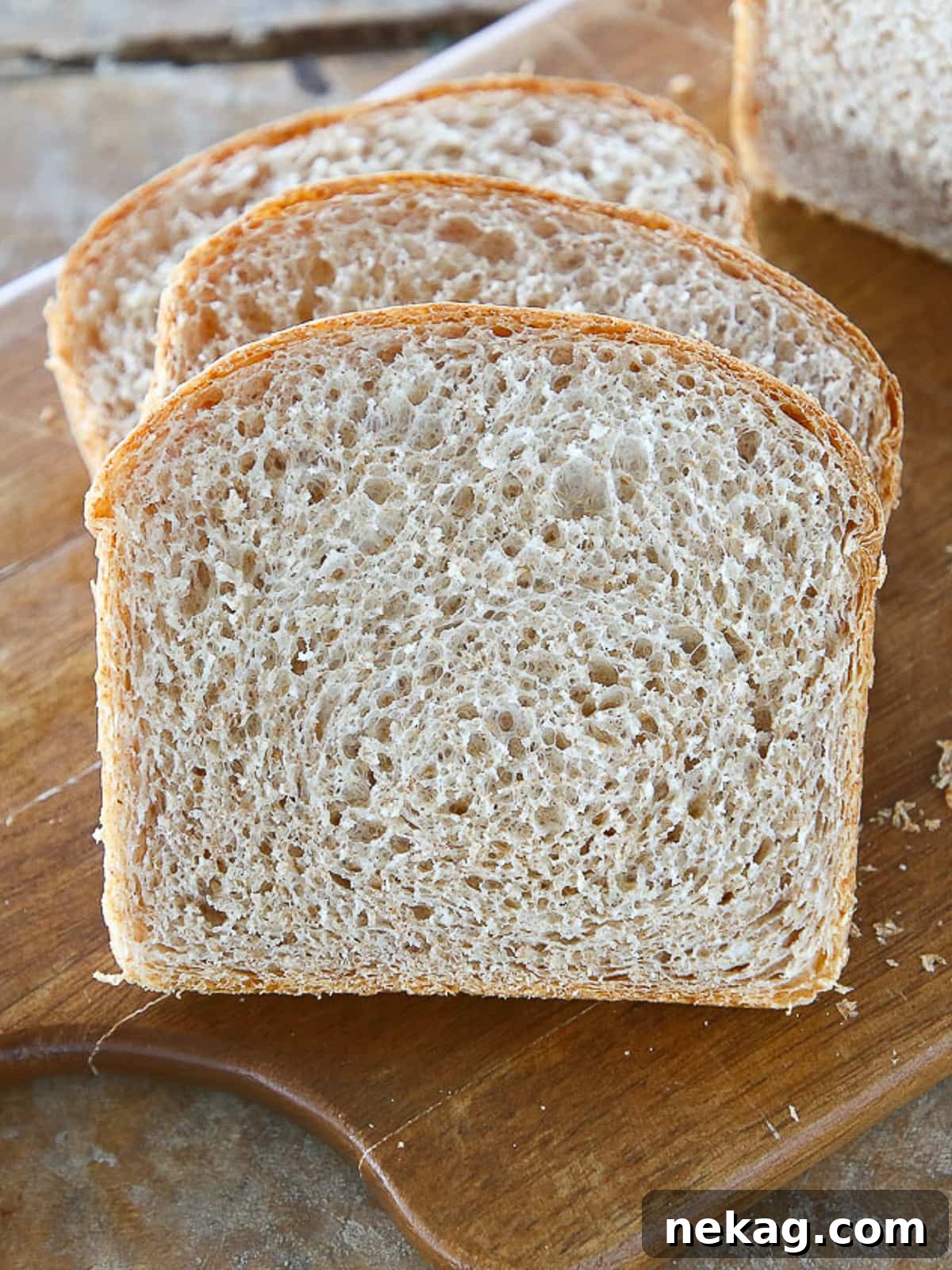 Hearty Whole Wheat Sandwich Loaf 5 The fluffy, tender inside of a sliced whole wheat sandwich loaf, highlighting its appealing texture and even crumb.