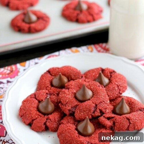 Red Velvet Blossoms - only 6 ingredients to make these chewy, chocolatey, red velvet cookies! Perfect for Valentine's Day or Christmas!
