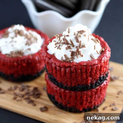 Mini Red Velvet Cheesecakes