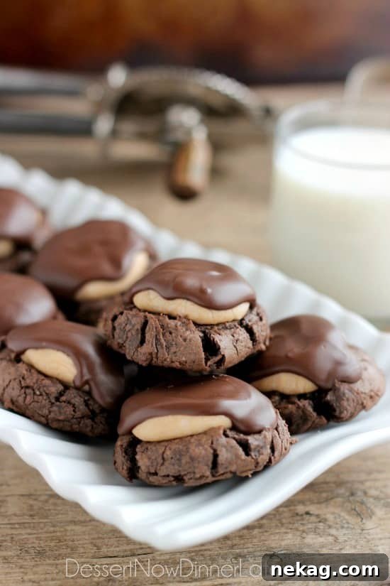 Buckeye Cookies - a chocolate brownie cookie base, topped with peanut butter balls, all covered in chocolate! These are insanely delicious!