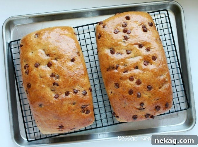 Close-up of a slice of Cinnamon Chip Bread, showing the cinnamon chips