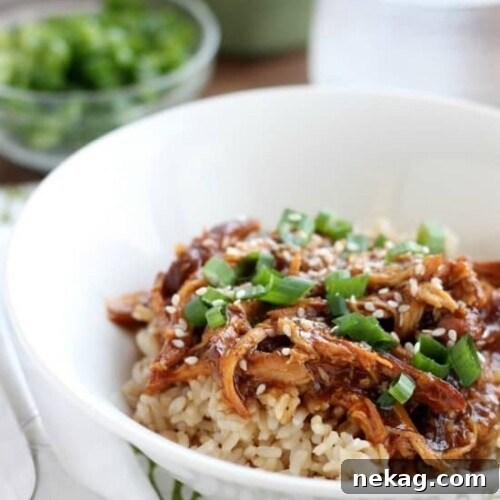 Slow Cooker Chicken Teriyaki recipe image