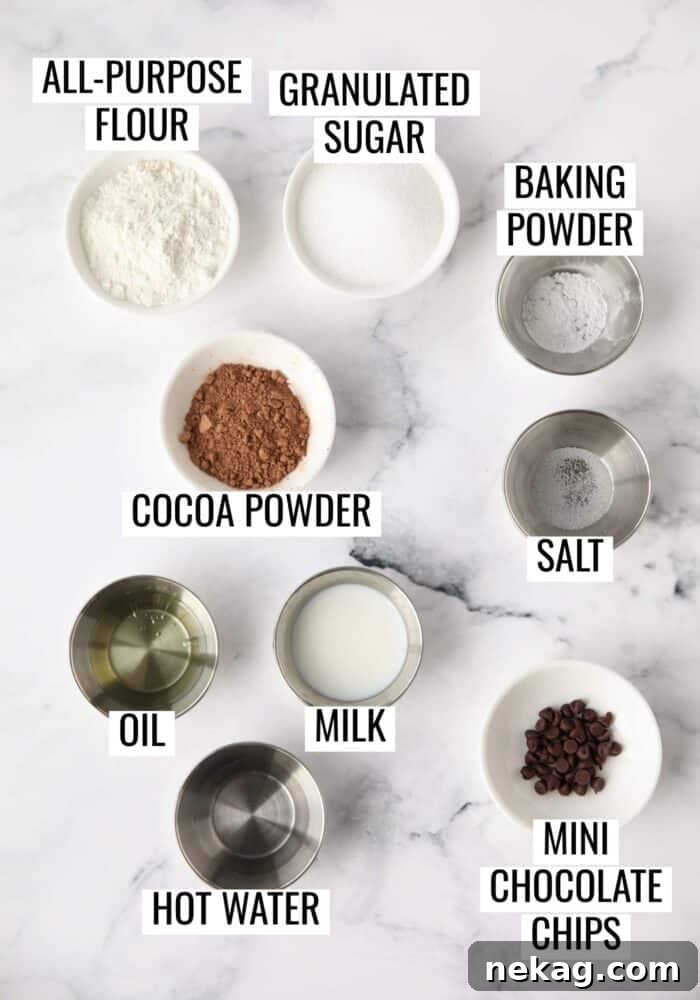 A selection of basic pantry ingredients neatly arranged for making a single-serving microwave chocolate cake. Included are flour, sugar, cocoa powder, baking powder, salt, oil, milk, hot water, and a small bowl of mini chocolate chips.