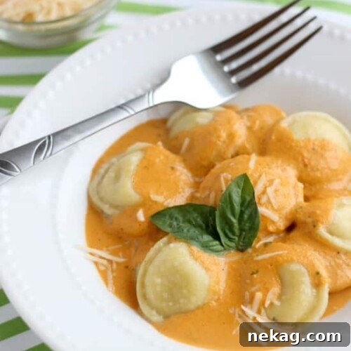 Velvet Roasted Red Pepper Ravioli 7 Creamy Roasted Red Pepper Ravioli with fresh basil
