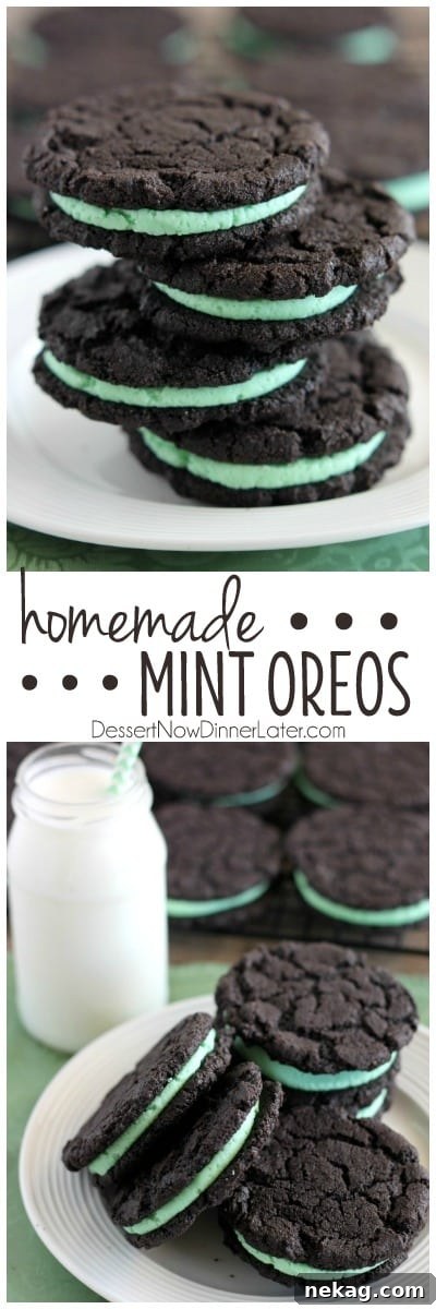 A close-up of a Homemade Mint Oreo showing the perfect filling and texture