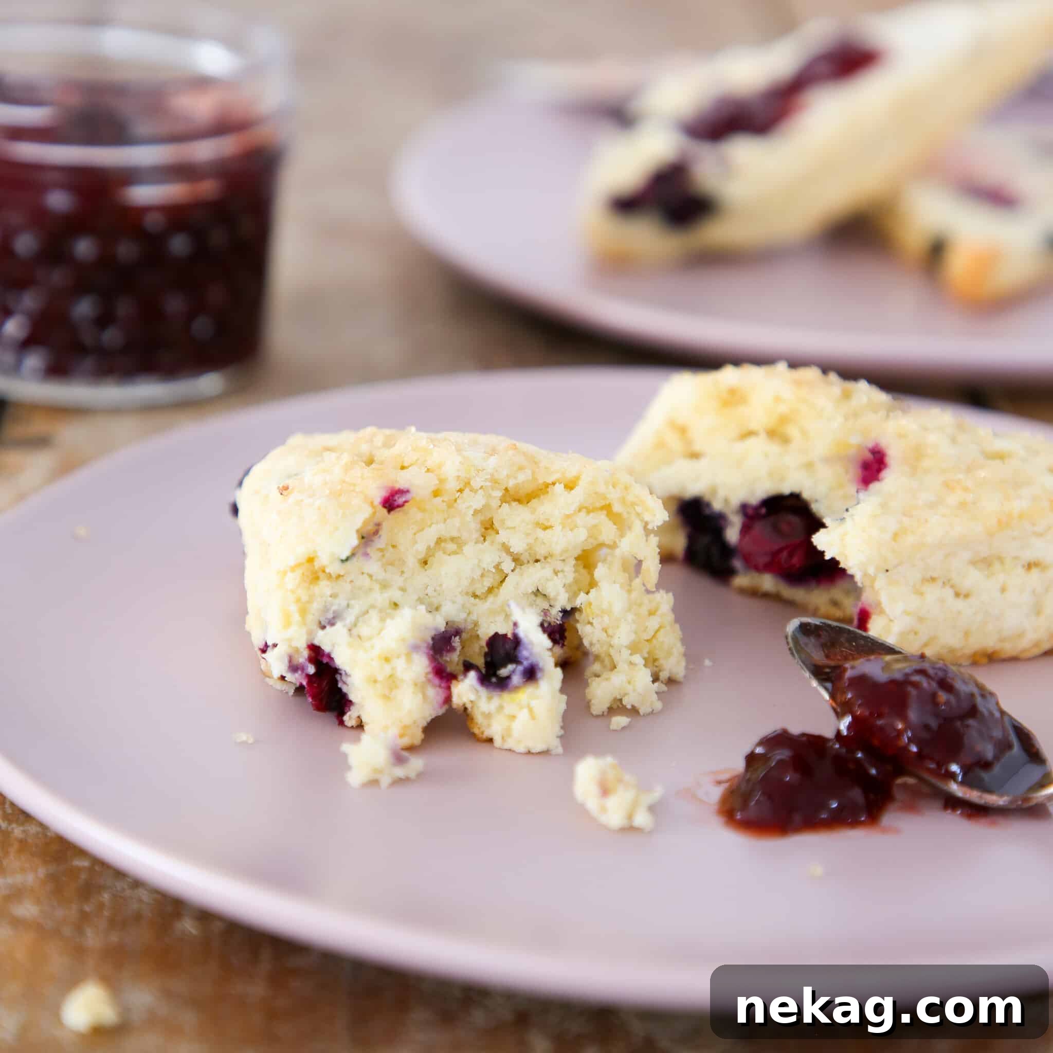 Delicious Blueberry Scones 2 The Best Blueberry Scones: Soft, Tender, and Perfectly Moist with a hint of lemon zest