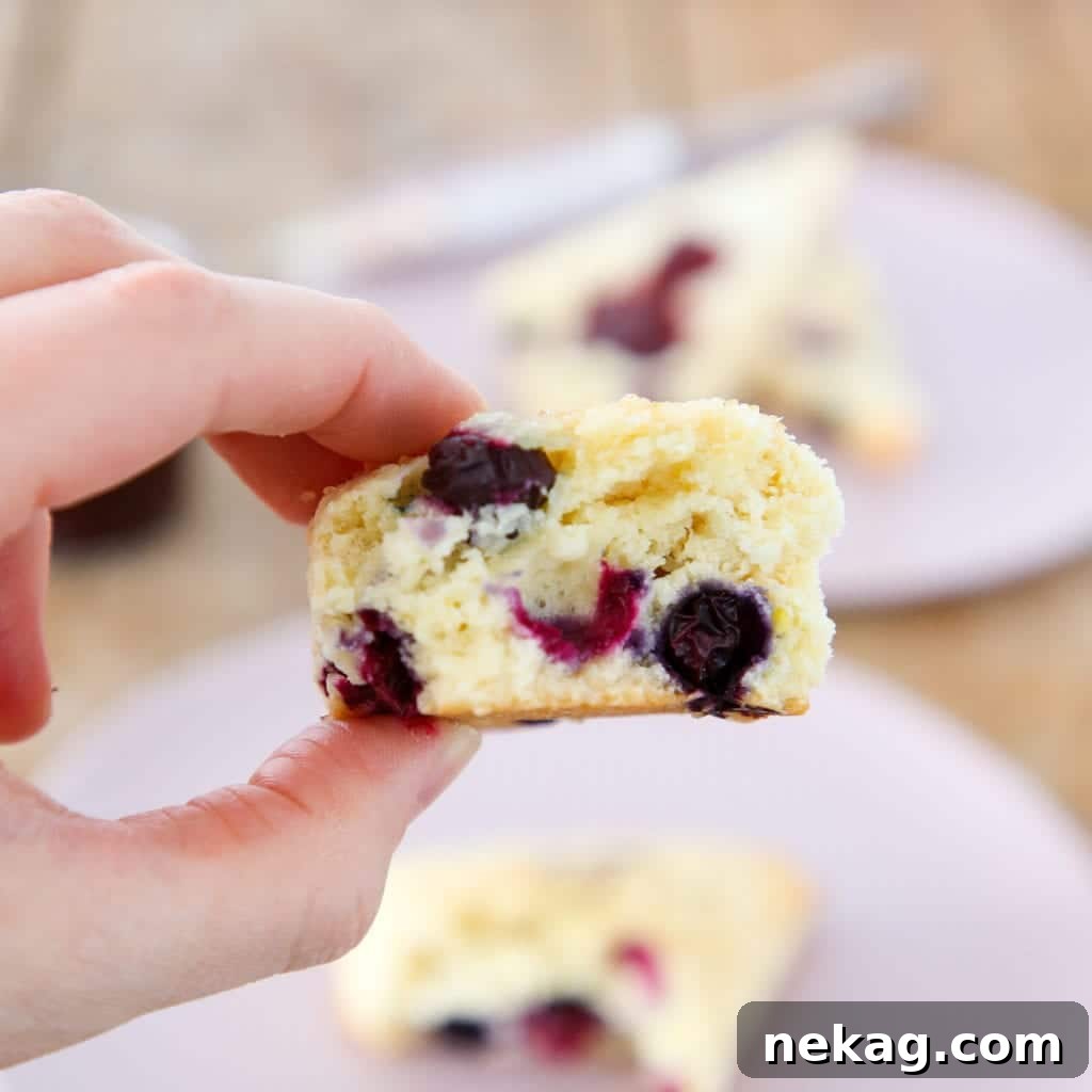 Delicious Blueberry Scones 4 Plate of freshly baked blueberry scones, ready to be served