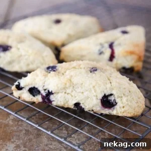 Blueberry Lemon Scones on cooling rack