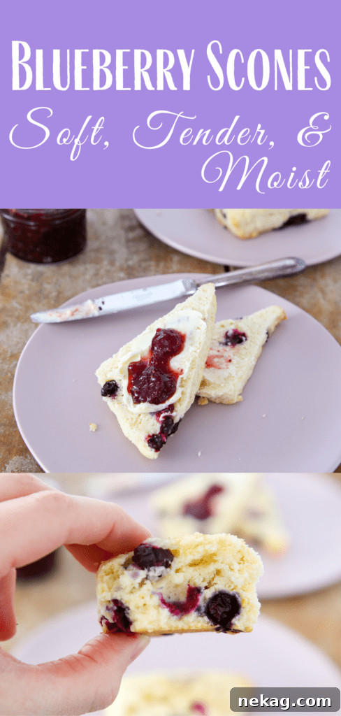 Delicious Blueberry Scones 7 The best blueberry scones of your life!