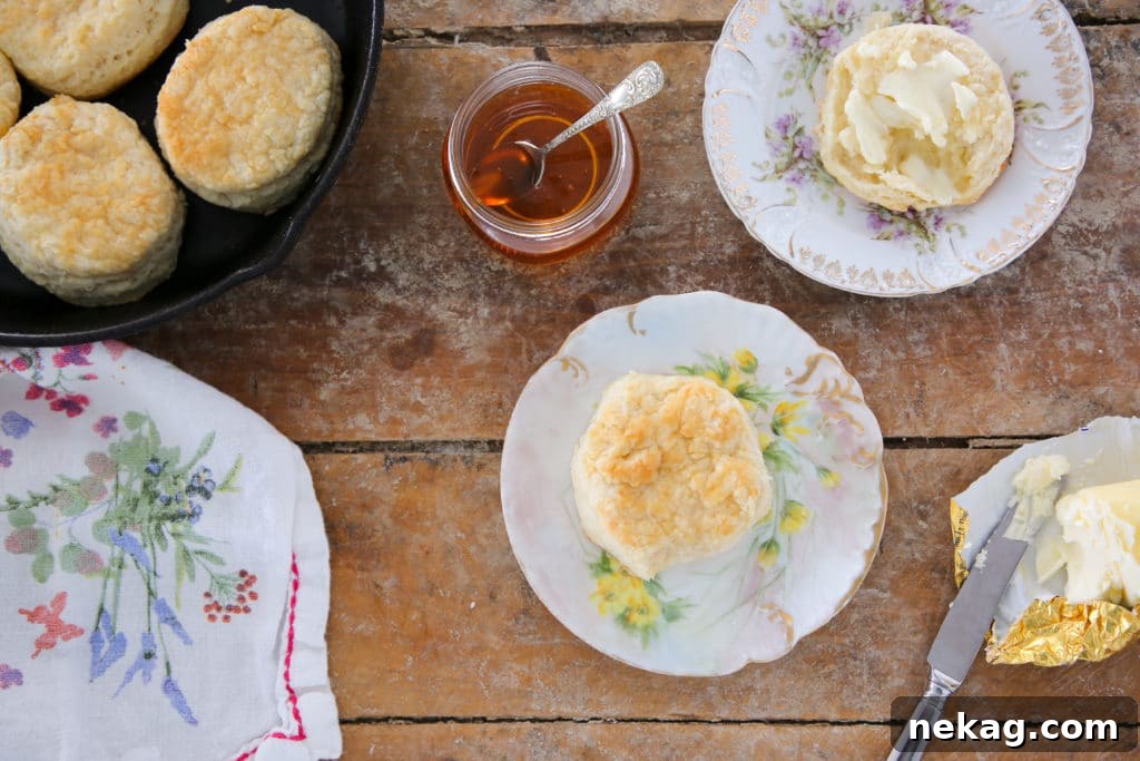 Buttermilk Biscuit Perfection 4 Warm buttermilk biscuits arranged on a plate, ready to be slathered with butter or jam.
