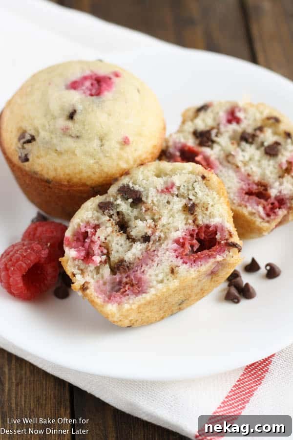 Decadent Raspberry Chocolate Chip Muffins 5 A close-up of Raspberry Chocolate Chip Muffins ready to be served.