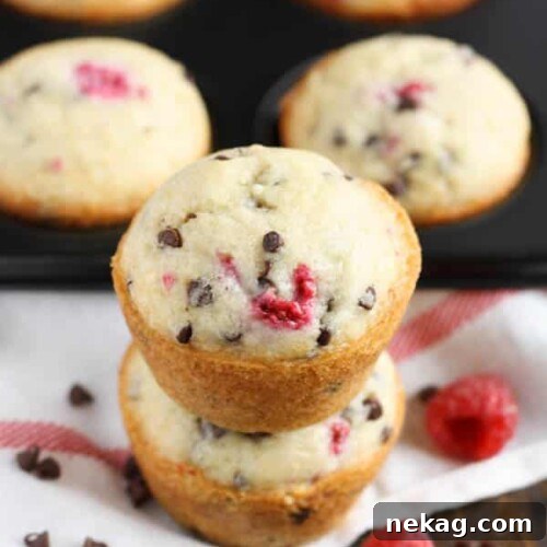 Raspberry Chocolate Chip Muffins