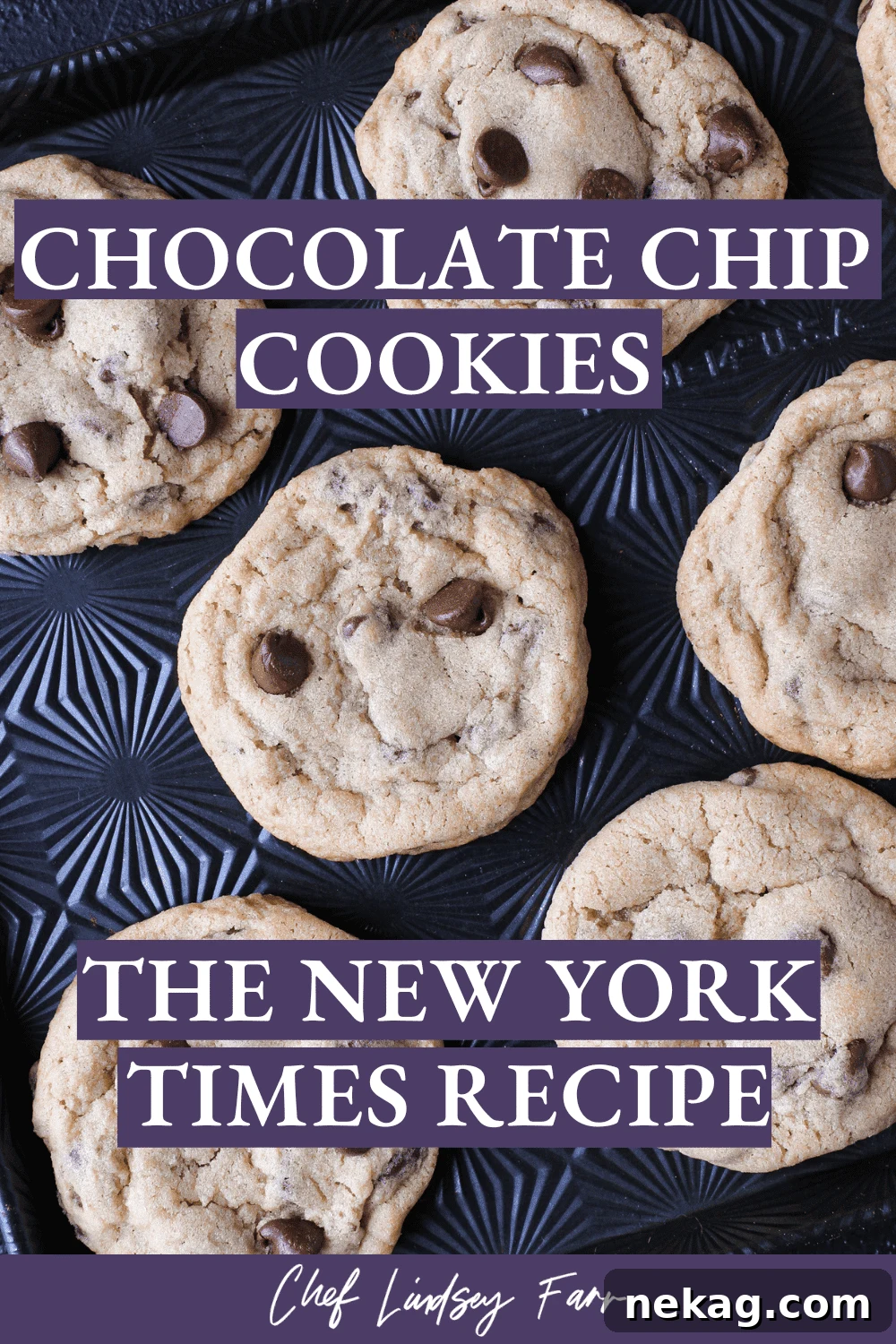 Chewy Chocolate Chip Cookies New York Times Recipe Dark