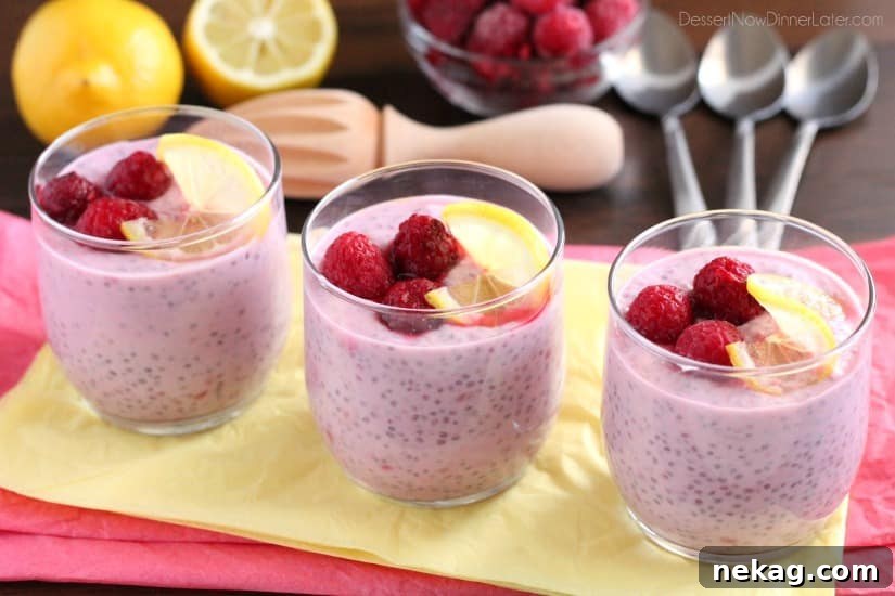 Lemon Raspberry Chia Delight 4 A close-up of Lemon Raspberry Chia Pudding in a clear glass, showing the thick, creamy texture and small chia seeds, with a spoon digging in.