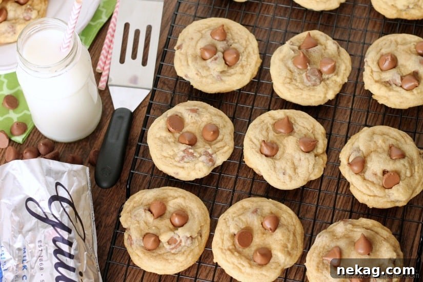 Irresistibly Soft Chocolate Chip Cookies 6 Cookie dough being scooped onto a baking sheet with a cookie scoop