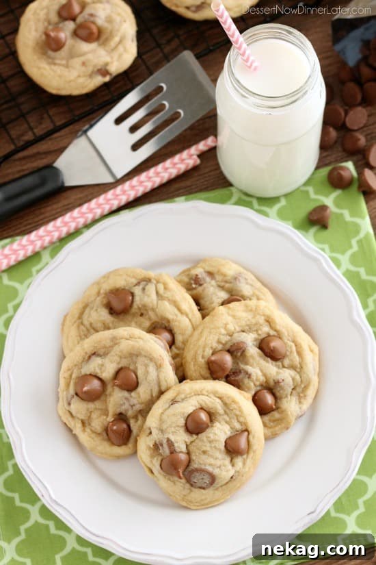 Irresistibly Soft Chocolate Chip Cookies 7 Freshly baked soft chocolate chip cookies resting on a wire rack