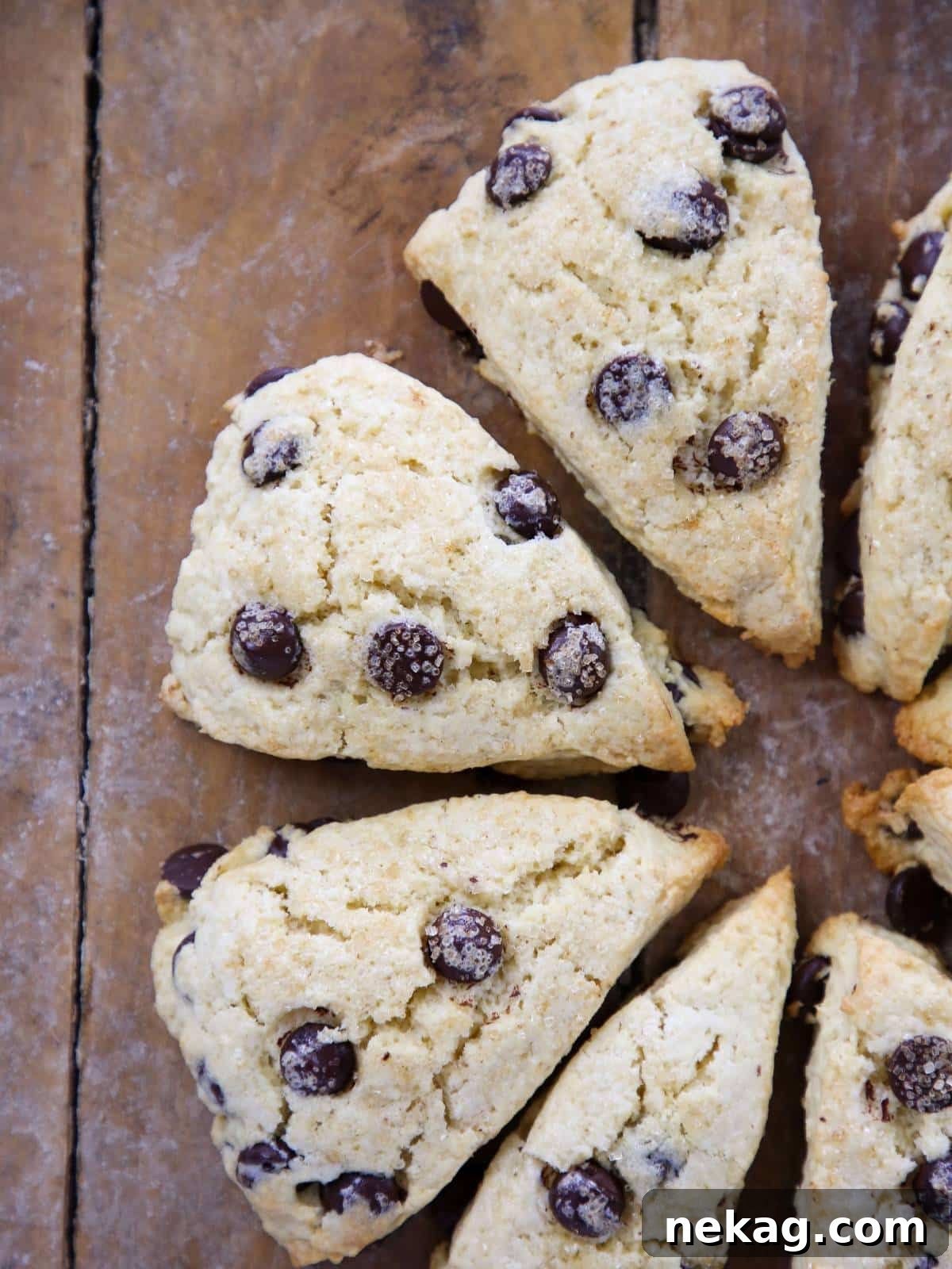 Classic Chocolate Chip Scones 2 Golden brown chocolate chip scone, studded with chocolate chips and a sprinkle of sugar on top, presented beautifully on a rustic wooden board.