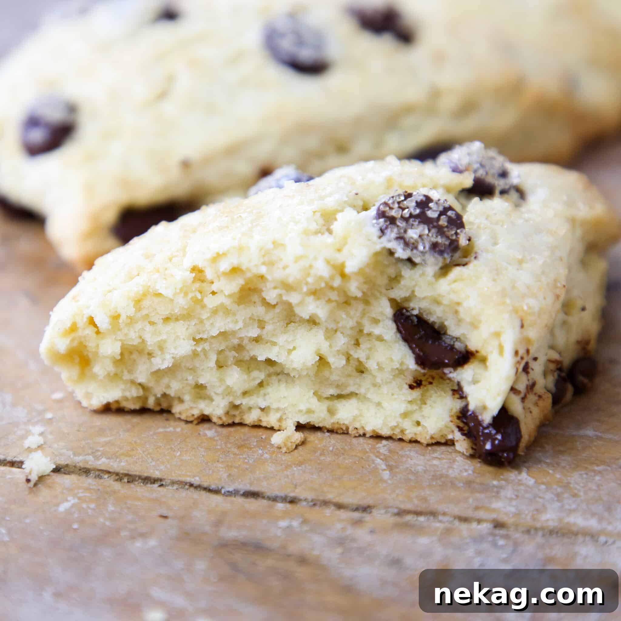 Classic Chocolate Chip Scones 3 Close-up of a chocolate chip scone with a perfectly soft and tender interior crumb, showcasing its moist texture.