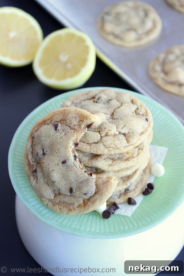 Paradise Aloha Chicken Salad 9 Lemon Chocolate Chunk Cookies recipe image