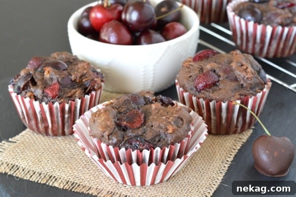 Decadent Chocolate Cherry Banana Bread Muffins 4 Close-up of freshly baked Chocolate Cherry Banana Bread Muffins, showcasing their moist texture and cherry chunks.