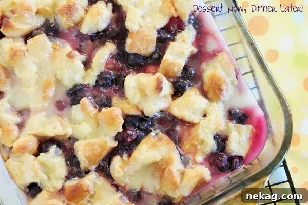Luscious Blueberry Bread Pudding with Zesty Lemon Drizzle 3 Close-up of a slice of warm blueberry bread pudding showing the soft texture and blueberries.