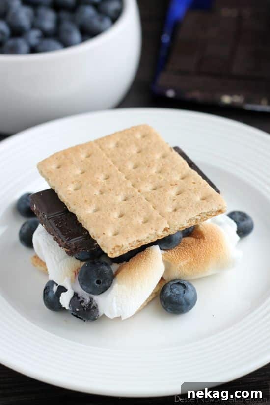 S'mores Reimagined 8 Delicious Blueberry S'more showcasing honey graham crackers, plump fresh blueberries, gooey marshmallows, and Brookside Blueberry & Cranberry Almond chocolate.