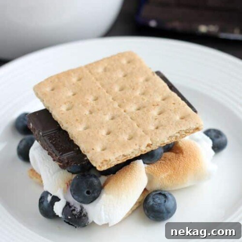 S'mores Reimagined 10 A platter of beautifully assembled Fancy Fruit S'mores ready to be enjoyed.