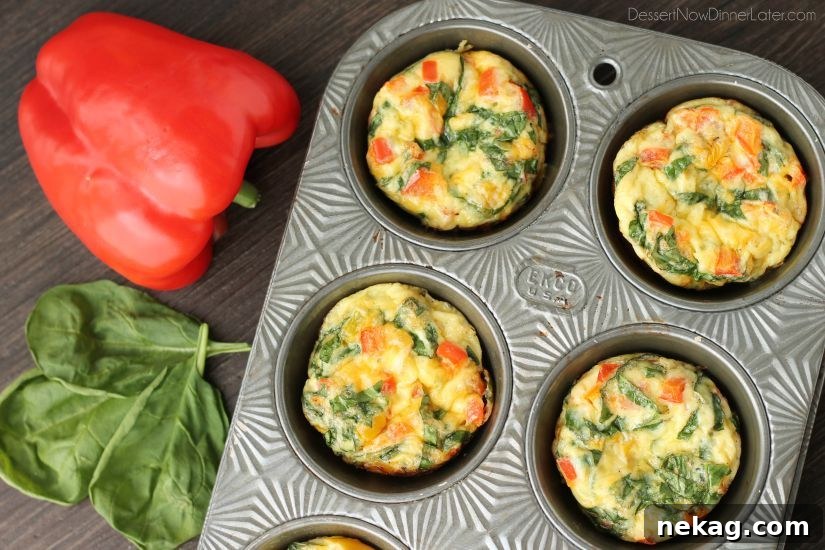 Freshly baked Breakfast Egg Cups with vibrant vegetables, cooling on a rack.