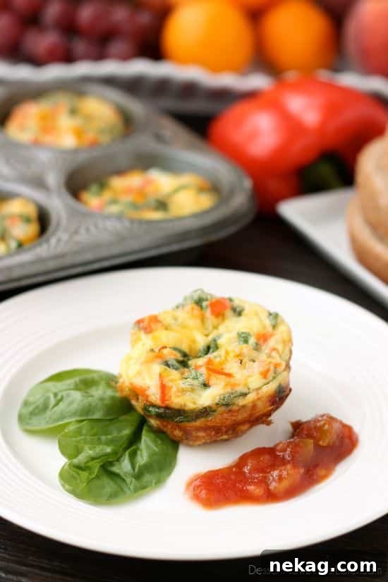 A close-up of a single Breakfast Egg Cup, showcasing its fluffy texture and colorful vegetable fillings.