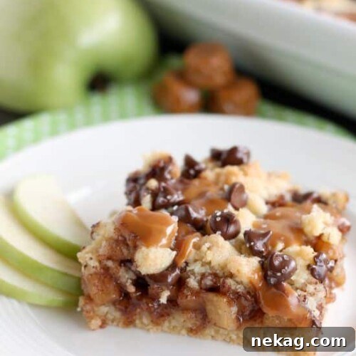 Decadent Chocolate Caramel Apple Crumble Squares 16 Chocolate Caramel Apple Crumb Bars - These dessert bars have a buttery crust and crumble on top, a gooey cinnamon-sugar apple filling, with caramels, chocolate chips, and sea salt sprinkled on top.