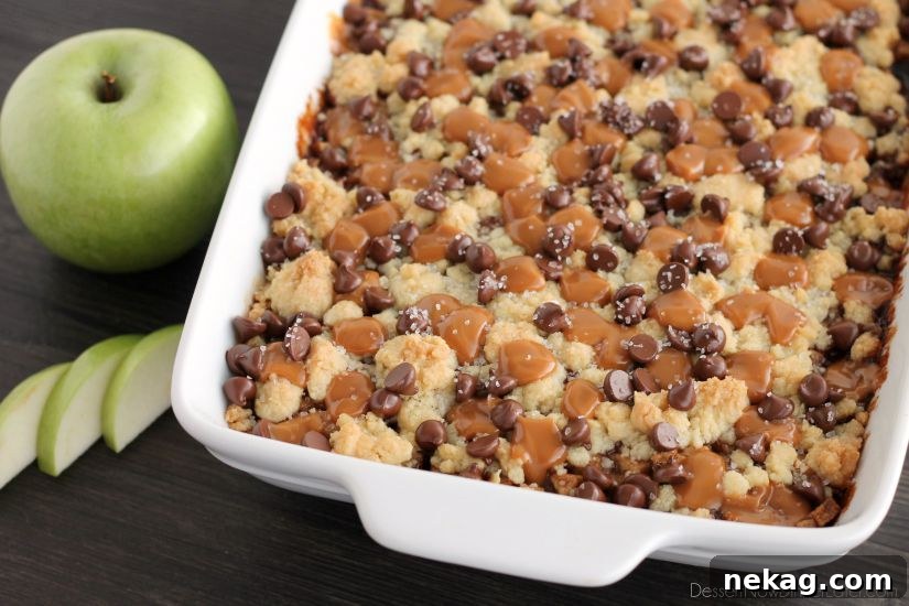 Decadent Chocolate Caramel Apple Crumble Squares 3 Close-up shot of a plate of Chocolate Caramel Apple Crumb Bars, showcasing the layers of crust, apple, crumble, caramel, and chocolate.