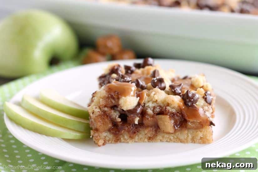 Decadent Chocolate Caramel Apple Crumble Squares 4 Top-down view of Chocolate Caramel Apple Crumb Bars, ready to be served, highlighting the crumb topping and melted chocolate and caramel.