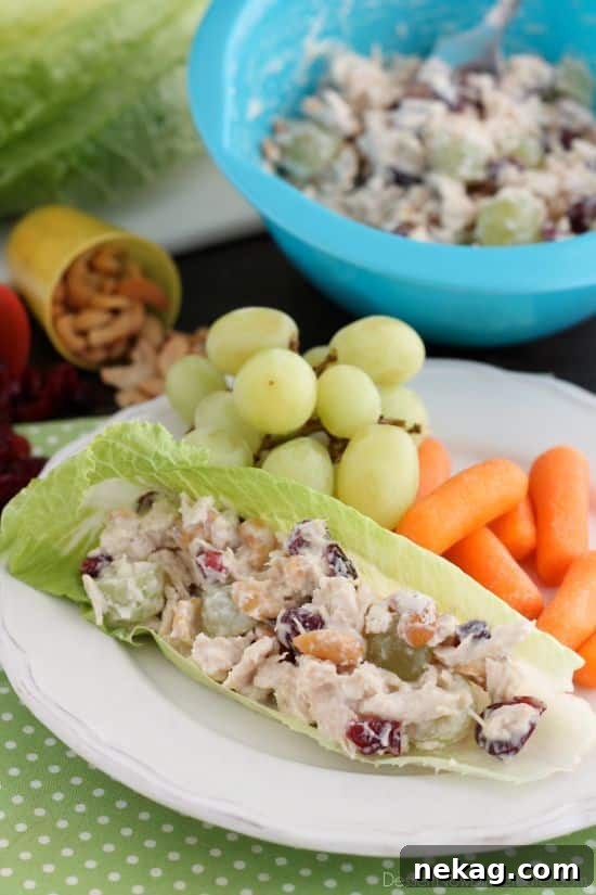A vibrant bowl of light chicken salad made with Greek yogurt, grapes, and cashews, perfect for a healthy lunch.