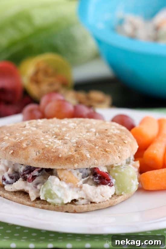 Individual serving of light chicken salad on a whole wheat sandwich thin, garnished with fresh parsley.