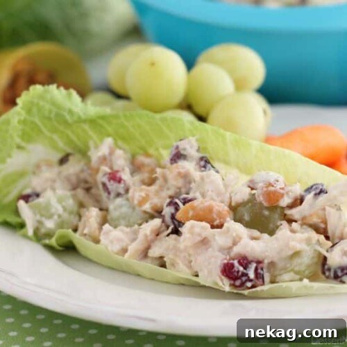 Overhead shot of a bowl of light chicken salad, with a spoonful ready to be served, showcasing its appealing texture.