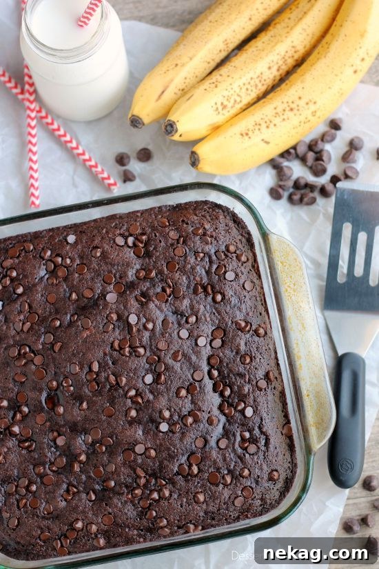 Close-up of the delicious texture of Double Chocolate Banana Cake, highlighting the moist crumb and chocolate chips.