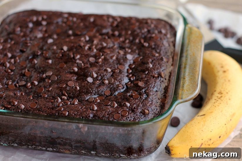 Double Chocolate Banana Cake in a baking dish, freshly baked and topped with mini chocolate chips.