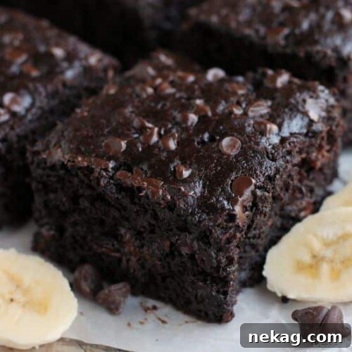 Double Chocolate Banana Cake is lightly sweet, moist, and chocolatey. No frosting required!