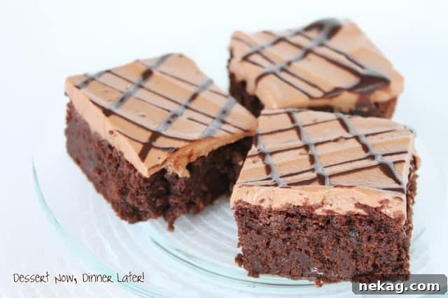 Triple Chocolate Brownies ready to be enjoyed