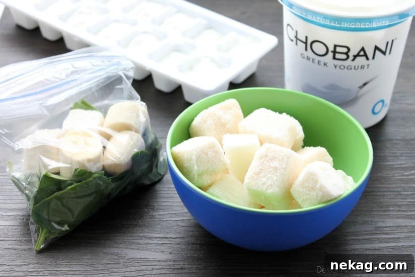Freezer Smoothie Packs - yogurt
