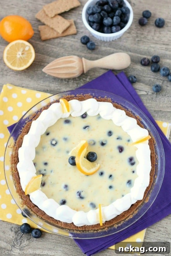 Close-up of a slice of creamy lemon and blueberry pie with fresh blueberries and whipped cream on top, ready to be served.
