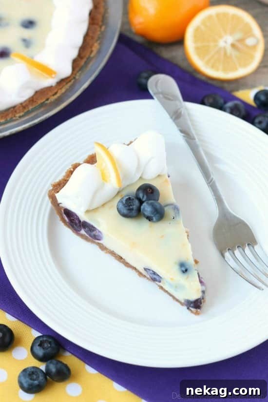 Whole creamy lemon and blueberry pie sitting on a white pedestal stand, garnished with fresh blueberries and lemon slices.