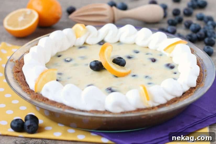 Overhead view of a creamy lemon and blueberry pie, showing the golden graham cracker crust and the evenly distributed blueberries.